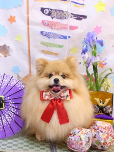 20240526梛都ちゃん